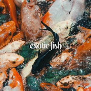 dance kathy remastered