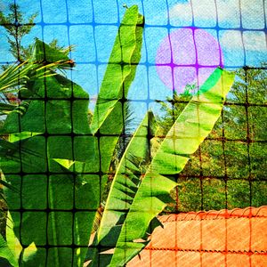 Flavor Of The Streets