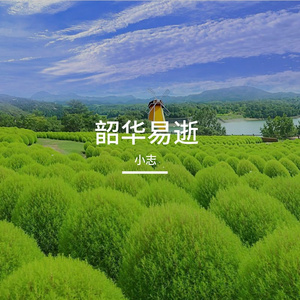 追光的实现