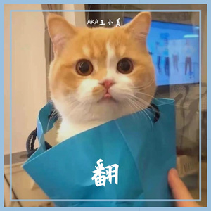 8月24日 下午6点13分