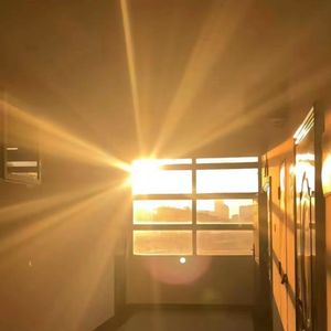 最后一叶，最后一页(Prod Siren)