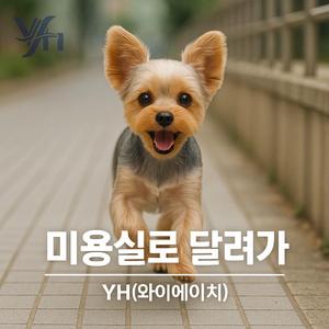 미용실로 달려가