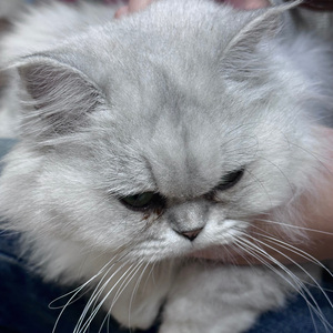 4.4 （90s R&B x step.jad type beat)