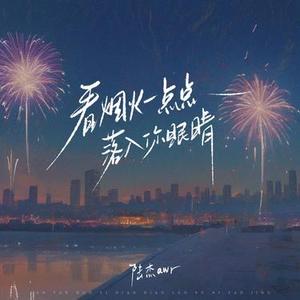 看烟火一点点落入你眼睛