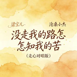 没走我的路怎知我的苦(走心对唱版)