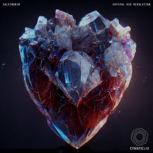 Crystal Kid Revolution