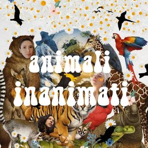 Animali Inanimati (feat. DaveGringo)