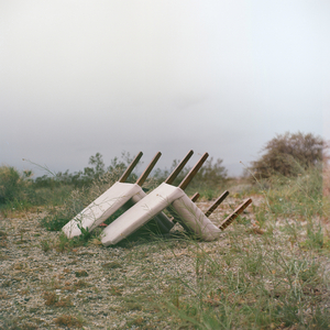 A Flowing Field of Green