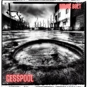 cesspool