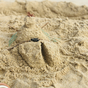 曾有长剑入梦来