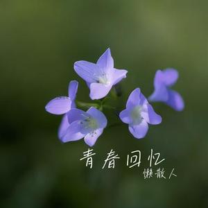 风铃草的秘密