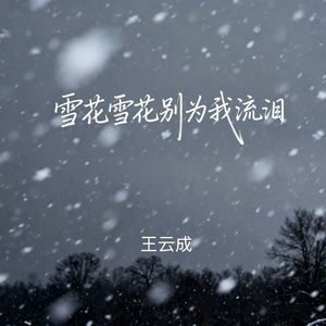 雪花雪花别为我流泪