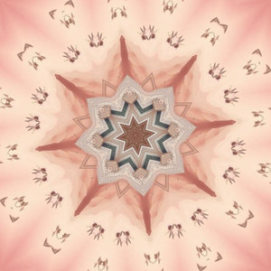 Dove Deer Dolphin (Live)