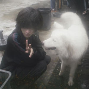 你走之后 梨花白了枝头