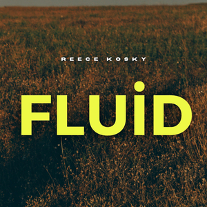 Fluid