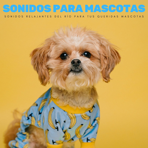 Pequeñas Patitas