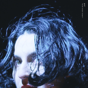 ぼくのクワズイモ