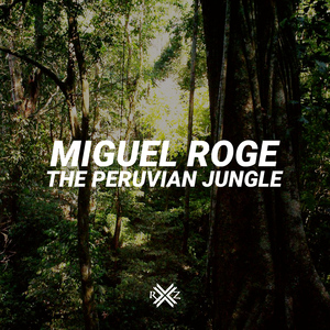 The Peruvian Jungle