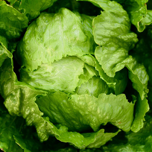 何度でも (Cover)