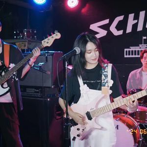 北京夏夜-动物派对