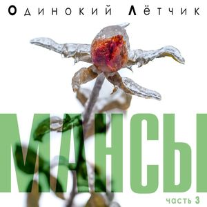 Не зная куда