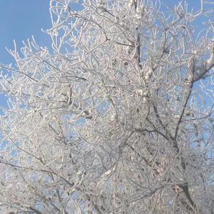 So Am I（DJ Patrick Remix）