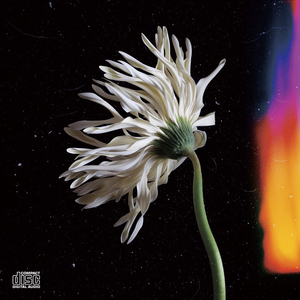 throughout (prod by pavilion xool)