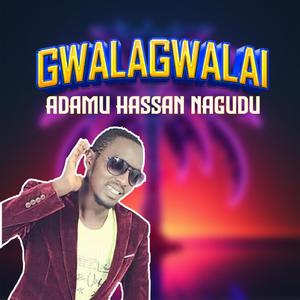 Adamu Hassan Nagudu Gwalagwalai