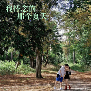 我怀念的那个夏天(That Summer We Lost)