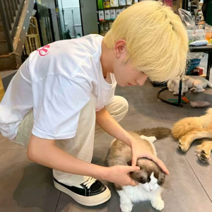 就这样和你在一起