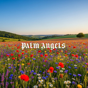 Palm Angels