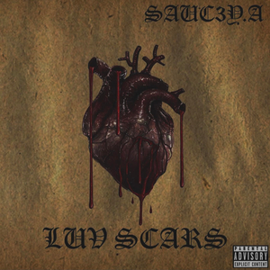 Luv Scars