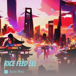 Rice Feed Eel