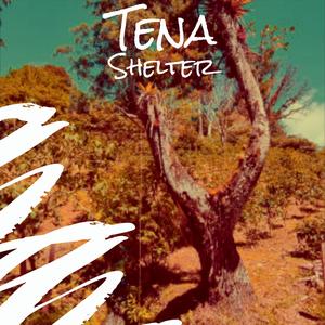 Multichannel Daubers