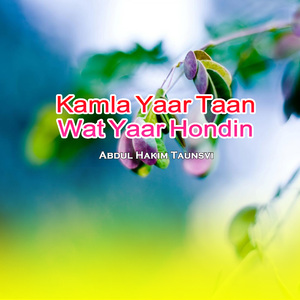 Kamla Yaar Taan Wat Yaar Hondin