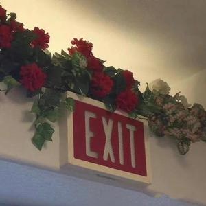 A flying moth darts into the fire