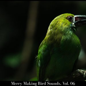 Exploring Birdsong Across the World with Northern Flicker