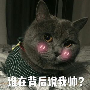 拜无忧（Cover 萧忆情Alex）