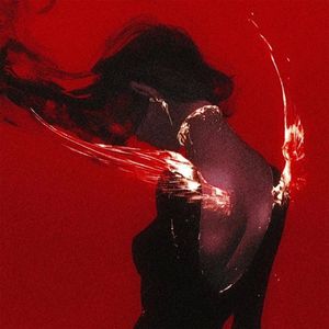 ⁠⁣Fog（VIP)
