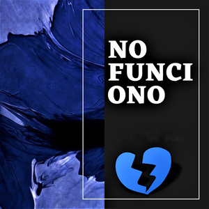 NO FUNCIONO