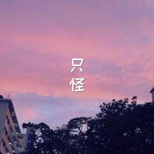 只怪