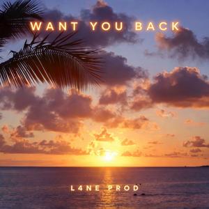Want You Back