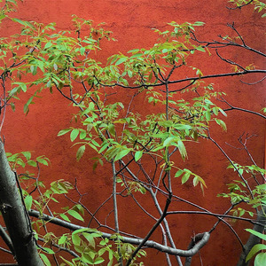 Later (Rijekä Remix)