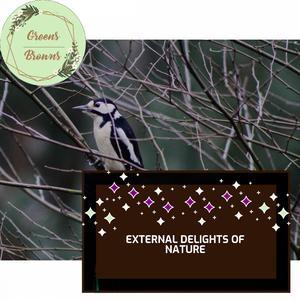 Those Grey Hairy Birds