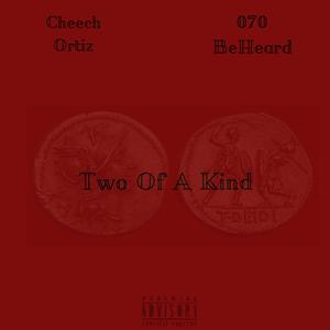 2 of a Kind (feat. 070 Beheard)