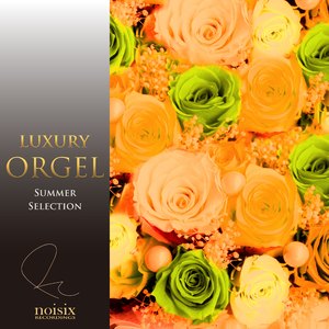 ポニーテールとシュシュ（オルゴール）