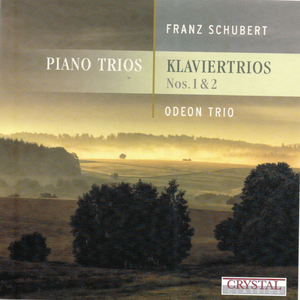 Trio für Klavier, Violine und Violoncello No. 2 in E-Flat Major, Op. 100, D. 929: II. Andante un poco mosso