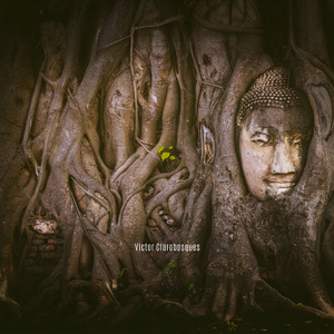 Consciência Acomodada