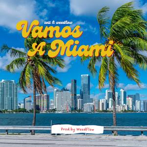 Vamos a miami (feat. WeedFlow)