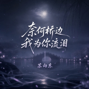 奈何桥边我为你流泪